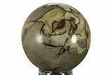Polished Septarian Sphere - Madagascar #229764-1